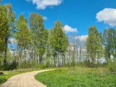 Vilniaus raj., Vėlybniškių kaime, Dūkštų sen. - nuotraukos Nr. 5