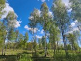 Vilniaus raj., Vėlybniškių kaime, Dūkštų sen. - nuotraukos Nr. 3