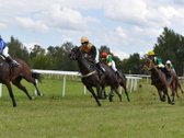 Raseinių rajono savivaldybė skelbia Raseinių
