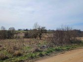 Parduodama sodyba ramioje vietovėje – - nuotraukos Nr. 8