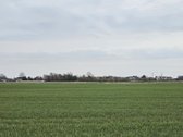 Parduodamas žemės ūkio paskirties sklypas 50 - nuotraukos Nr. 2