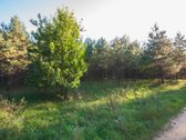 Parduodami du besiribojantys žemės ūkio - nuotraukos Nr. 3