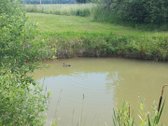 Sodyba trijų kambarių. Yra šulinys iš kurio - nuotraukos Nr. 12