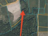 30 arų namų valdos sklypas, bendras 2,51 ha ploto