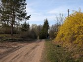 Lazdijų rajone, Seirijų seniūnijoje, - nuotraukos Nr. 20