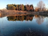 Parduodama sodyba ant Šušvės kranto, 6 km nuo - nuotraukos Nr. 3