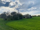 Raseinių raj. Tendžiogalos k. parduodama sodyba - nuotraukos Nr. 5