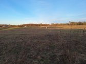 Parduodamas 8,04 arų (804 m²) namų valdos - nuotraukos Nr. 2