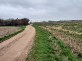 Parduodami namu valdos sklypai, Lankuciu - nuotraukos Nr. 5