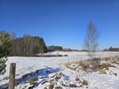 Parduodamas 1.045 ha žemės ūkio paskirties - nuotraukos Nr. 3