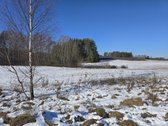 Parduodamas 1.045 ha žemės ūkio paskirties - nuotraukos Nr. 4