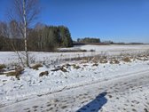 Parduodamas 1.045 ha žemės ūkio paskirties - nuotraukos Nr. 5