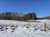 Parduodamas 1.045 ha žemės ūkio paskirties - nuotraukos Nr. 6