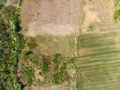 Parduodamas žemės ūkio paskirties sklypas - nuotraukos Nr. 5