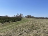 Prie Širvintos upės kranto Širvintų r. sav., - nuotraukos Nr. 8