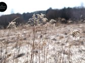 Pristatau žemės sklypą  gamtos stebuklą