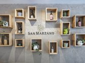 Vilniaus širdyje – Gedimino prospekte – - nuotraukos Nr. 11
