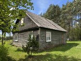 Gamtos apsuptyje, šalia gražaus pušyno, - nuotraukos Nr. 5