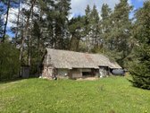 Gamtos apsuptyje, šalia gražaus pušyno, - nuotraukos Nr. 9