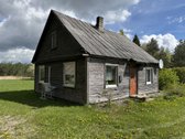 Gamtos apsuptyje, šalia gražaus pušyno, - nuotraukos Nr. 12