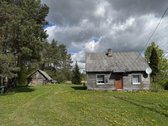 Gamtos apsuptyje, šalia gražaus pušyno, - nuotraukos Nr. 11