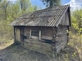 Gamtos apsuptyje, šalia gražaus pušyno, - nuotraukos Nr. 19