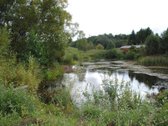 Vaizdingoje Vietoje Parduodamas 50 Arų Sklypas. - nuotraukos Nr. 23