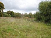 Vaizdingoje Vietoje Parduodamas 50 Arų Sklypas. - nuotraukos Nr. 21