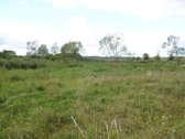 Vaizdingoje Vietoje Parduodamas 50 Arų Sklypas. - nuotraukos Nr. 22
