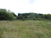 Vaizdingoje Vietoje Parduodamas 50 Arų Sklypas. - nuotraukos Nr. 25