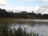 Vaizdingoje Vietoje Parduodamas 50 Arų Sklypas. - nuotraukos Nr. 28