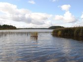 Vaizdingoje Vietoje Parduodamas 50 Arų Sklypas. - nuotraukos Nr. 4