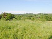 Vaizdingoje Vietoje Parduodamas 13,23 Arų - nuotraukos Nr. 2