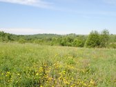 Vaizdingoje Vietoje Parduodamas 13,23 Arų - nuotraukos Nr. 5