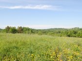 Vaizdingoje Vietoje Parduodamas 13,23 Arų - nuotraukos Nr. 6