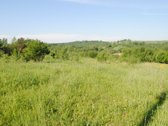 Vaizdingoje Vietoje Parduodamas 13,23 Arų - nuotraukos Nr. 7