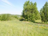 Vaizdingoje Vietoje Parduodamas 13,23 Arų - nuotraukos Nr. 8