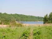 Vaizdingoje Vietoje Parduodamas 13,23 Arų - nuotraukos Nr. 11