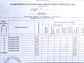 Parduodami pamatai daugiabučio statybai. - nuotraukos Nr. 8