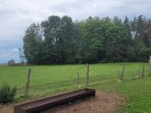 Ieškantiems tikro privatumo, ramybės, gamtos, - nuotraukos Nr. 4