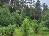 Ieškantiems tikro privatumo, ramybės, gamtos, - nuotraukos Nr. 5