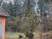 Ieškantiems tikro privatumo, ramybės, gamtos, - nuotraukos Nr. 2