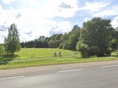 Parduodami namų valdos sklypai Vyčių kaime – - nuotraukos Nr. 5