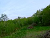 Parduodamas Sklypas Sode Trakų Rajone – Namų - nuotraukos Nr. 4