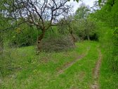 Parduodamas Sklypas Sode Trakų Rajone – Namų - nuotraukos Nr. 6