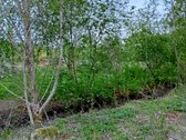 Parduodamas Sklypas Sode Trakų Rajone – Namų - nuotraukos Nr. 7