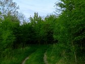 Parduodamas Sklypas Sode Trakų Rajone – Namų - nuotraukos Nr. 10
