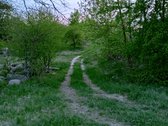 Parduodamas Sklypas Sode Trakų Rajone – Namų - nuotraukos Nr. 11