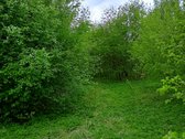 Parduodamas Sklypas Sode Trakų Rajone – Namų
