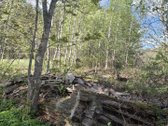 Parduodamas 7,10 Ha Žemės Sklypas Ignalinos - nuotraukos Nr. 7